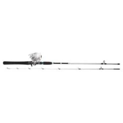 Daiwa Silvercast Combo 6' 10-30g Inkl: Nylonlina (Inkapslad Rulle)